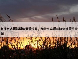 为什么选择新媒体运营行业，为什么选择新媒体运营行业呢