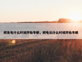 鳄鱼龟什么时候开始冬眠，鳄龟从什么时候开始冬眠