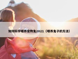 如何科学喂养宠物兔2021（喂养兔子的方法）