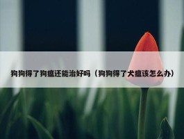 狗狗得了狗瘟还能治好吗（狗狗得了犬瘟该怎么办）