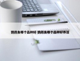 鹦鹉鱼哪个品种好 鹦鹉鱼哪个品种好养活