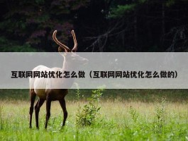 互联网网站优化怎么做（互联网网站优化怎么做的）