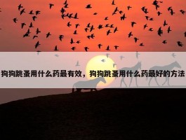 狗狗跳蚤用什么药最有效，狗狗跳蚤用什么药最好的方法