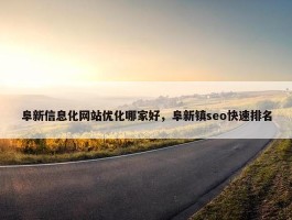 阜新信息化网站优化哪家好，阜新镇seo快速排名