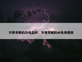 不用冬眠的乌龟品种，不用冬眠的水龟有哪些