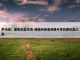 罗马诺：葡体总监乌戈-维亚纳是曼城最中意的新总监人选