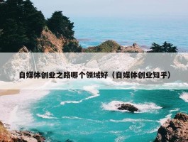 自媒体创业之路哪个领域好（自媒体创业知乎）