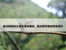 临沂网站优化排名有效果吗，临沂网页搜索排名提升