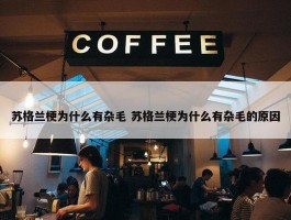 苏格兰梗为什么有杂毛 苏格兰梗为什么有杂毛的原因