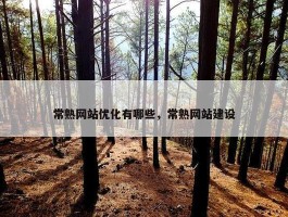 常熟网站优化有哪些，常熟网站建设