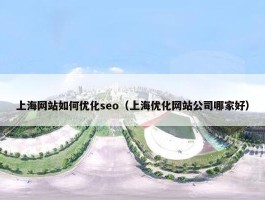 上海网站如何优化seo（上海优化网站公司哪家好）