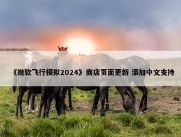 《微软飞行模拟2024》商店页面更新 添加中文支持