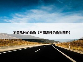 不同品种的狗狗（不同品种的狗狗图片）