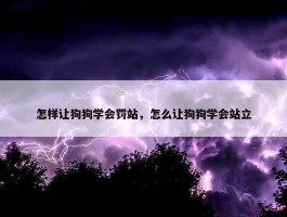 怎样让狗狗学会罚站，怎么让狗狗学会站立