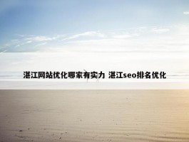 湛江网站优化哪家有实力 湛江seo排名优化