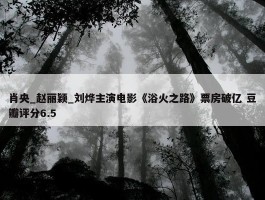 肖央_赵丽颖_刘烨主演电影《浴火之路》票房破亿 豆瓣评分6.5