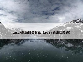 2017鹈鹕球员名单（2017鹈鹕队阵容）