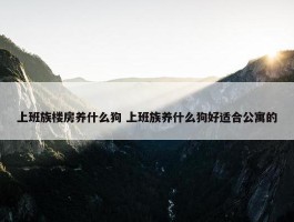 上班族楼房养什么狗 上班族养什么狗好适合公寓的