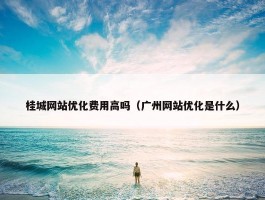 桂城网站优化费用高吗（广州网站优化是什么）