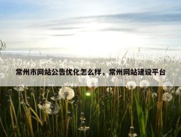 常州市网站公告优化怎么样，常州网站建设平台