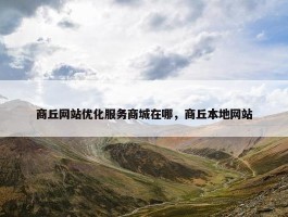 商丘网站优化服务商城在哪，商丘本地网站