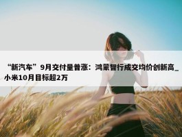 “新汽车”9月交付量普涨：鸿蒙智行成交均价创新高_小米10月目标超2万