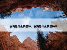 虫狗是什么的品种，虫狗是什么的品种啊