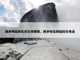 新乡网站排名优化有哪些，新乡知名网站优化电话