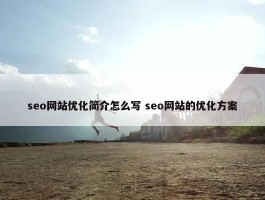 seo网站优化简介怎么写 seo网站的优化方案