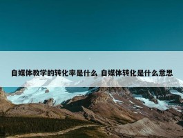 自媒体教学的转化率是什么 自媒体转化是什么意思