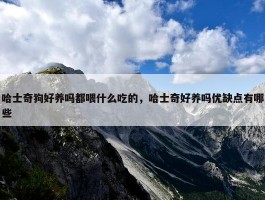 哈士奇狗好养吗都喂什么吃的，哈士奇好养吗优缺点有哪些