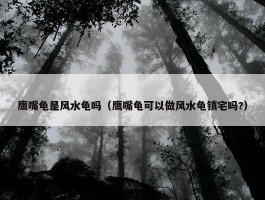 鹰嘴龟是风水龟吗（鹰嘴龟可以做风水龟镇宅吗?）