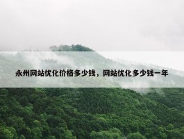 永州网站优化价格多少钱，网站优化多少钱一年