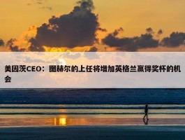 美因茨CEO：图赫尔的上任将增加英格兰赢得奖杯的机会