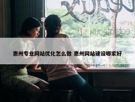 惠州专业网站优化怎么做 惠州网站建设哪家好