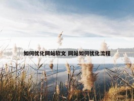 如何优化网站软文 网站如何优化流程