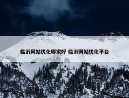 临沂网站优化哪家好 临沂网站优化平台