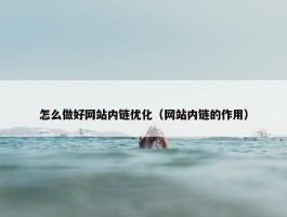 怎么做好网站内链优化（网站内链的作用）