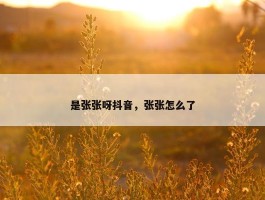 是张张呀抖音，张张怎么了