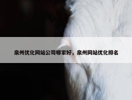 泉州优化网站公司哪家好，泉州网站优化排名