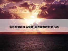 家养螃蟹吃什么食物 家养螃蟹吃什么东西