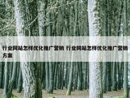 行业网站怎样优化推广营销 行业网站怎样优化推广营销方案