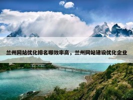 兰州网站优化排名哪效率高，兰州网站建设优化企业