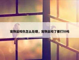 宠物鼠咬伤怎么处理，宠物鼠咬了要打针吗