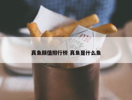 真鱼颜值排行榜 真鱼是什么鱼