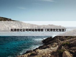 天津优化公司网站有哪些（天津优化加盟）