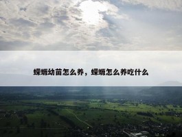 蝾螈幼苗怎么养，蝾螈怎么养吃什么