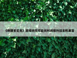 《刺猬索尼克》游戏将尽可能长时间保持旧主机兼容