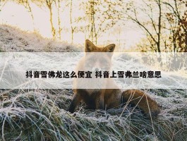 抖音雪佛龙这么便宜 抖音上雪弗兰啥意思