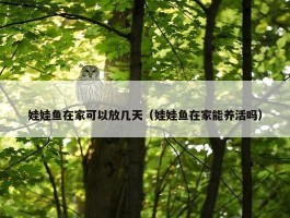 娃娃鱼在家可以放几天（娃娃鱼在家能养活吗）